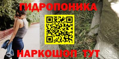 индика Ликино-Дулёво