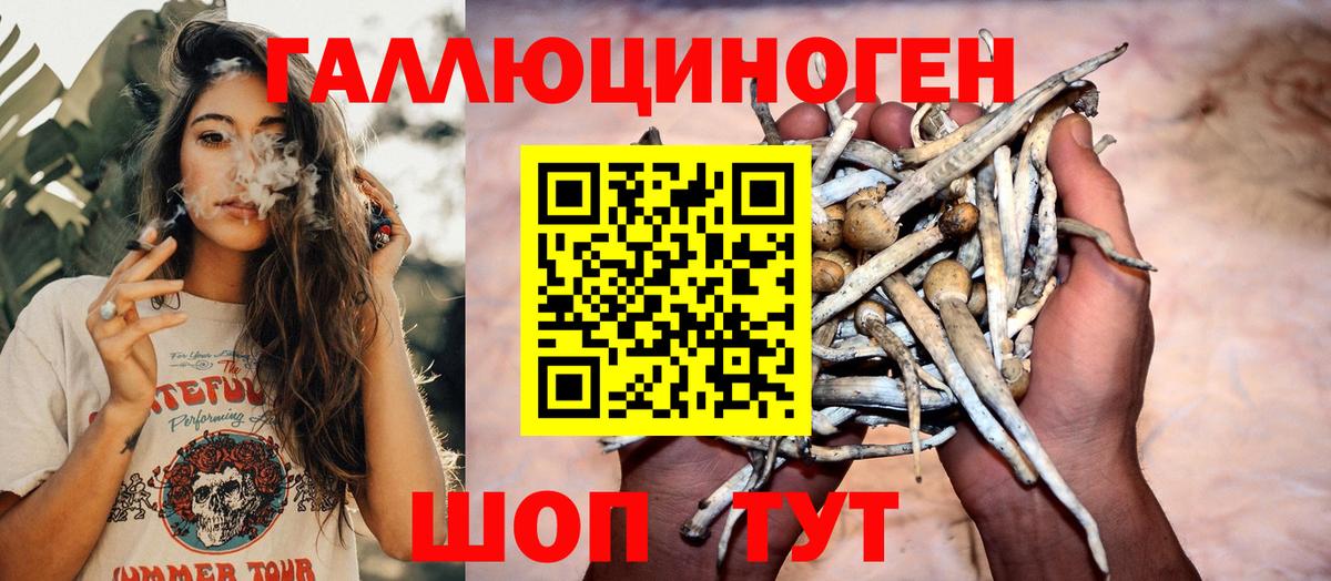 Чита  Галлюциногенные грибы ЛСД  Галлюциногенные грибы мухоморы  Вход с VPN 